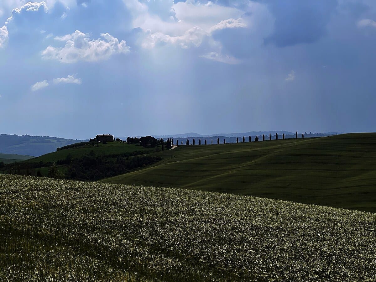 Rolling hills, Val d'Orcia